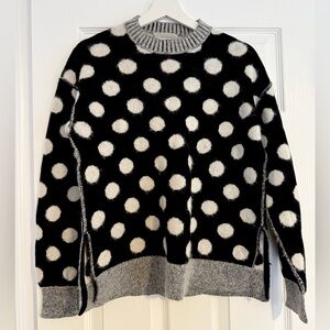 Everlane Alpaca Polka Dot Oversized Crew Sweater